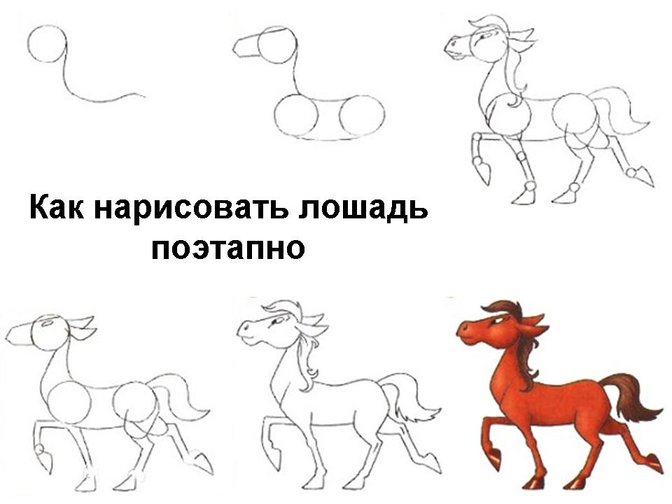 Как рисовать лошадь поэтапно для 2класса