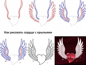 Как рисовать сердце с крыльями 