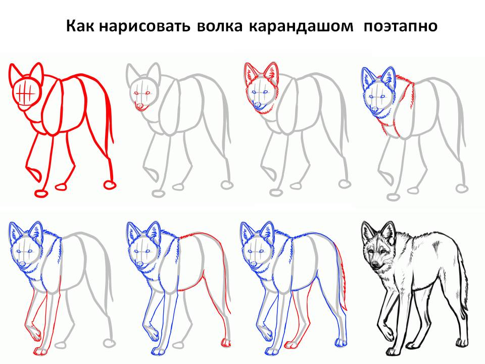 Как сделать 3d открытку с изображением волка