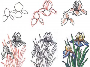 Как нарисовать цветы с ребенком 9 лет карандашом