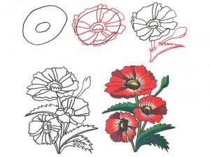Как рисовать цветы ребенку 5 лет