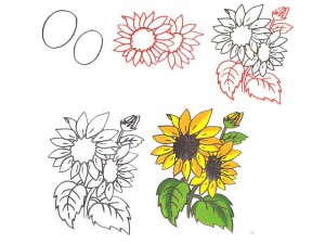 Рисовать цветок ребенку 5 лет