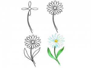 Как нарисовать цветы с ребенком 9 лет карандашом