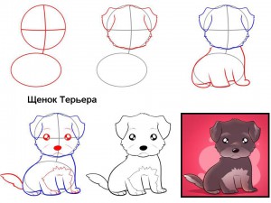 Как нарисовать щенка Терьера