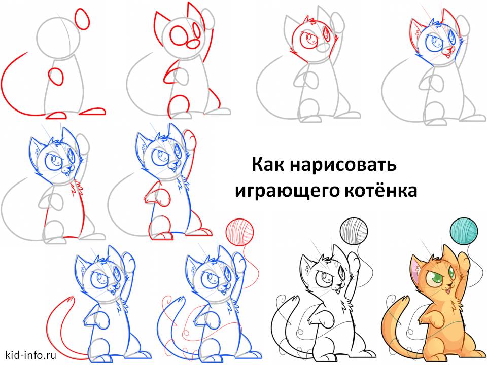 Как нарисовать котенка. Как нарисовать котёнка поэтапно. Рисунок котенка поэтапно. Пошаговое рисование котенка. Поэтапный рисунок котенка.