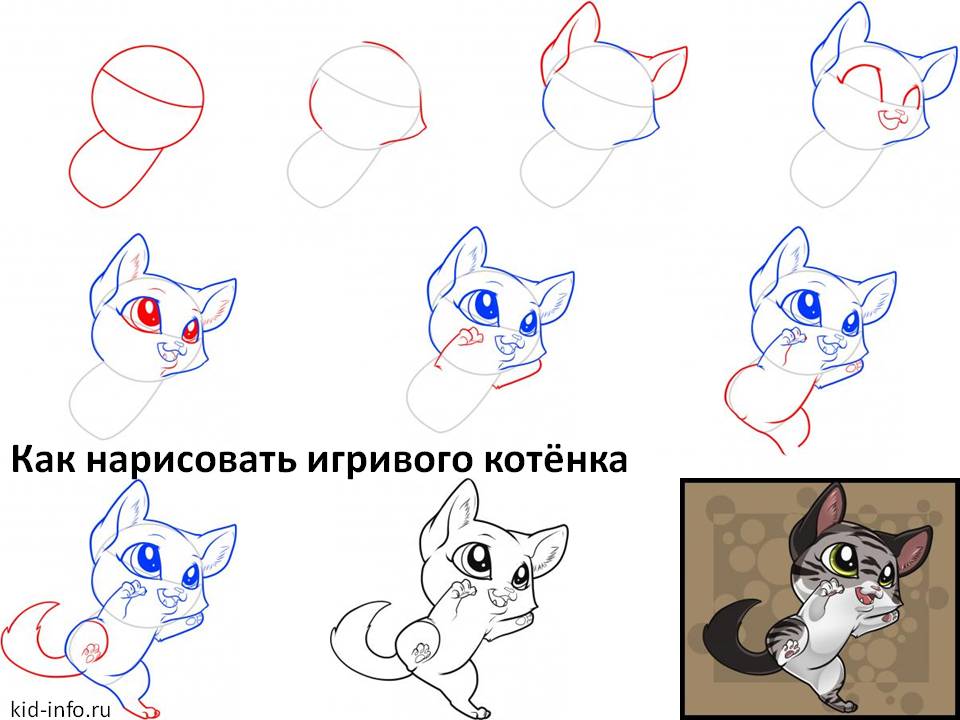 Как нарисовать игривого котёнка