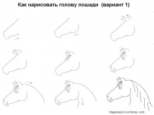 Как нарисовать голову лошади (вариант 1)