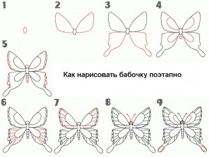 Как нарисовать бабочку поэтапно