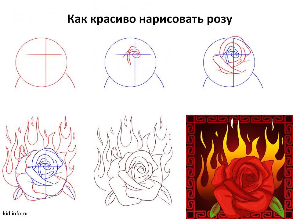 Как нарисовать красиво розу поэтапно