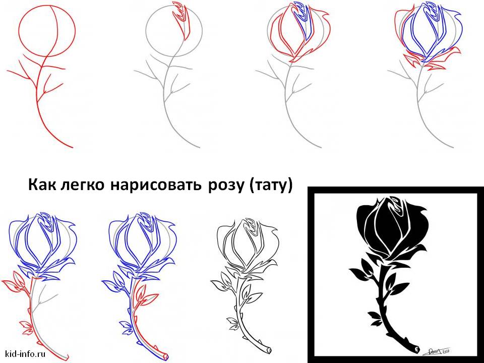 Как легко нарисовать розу