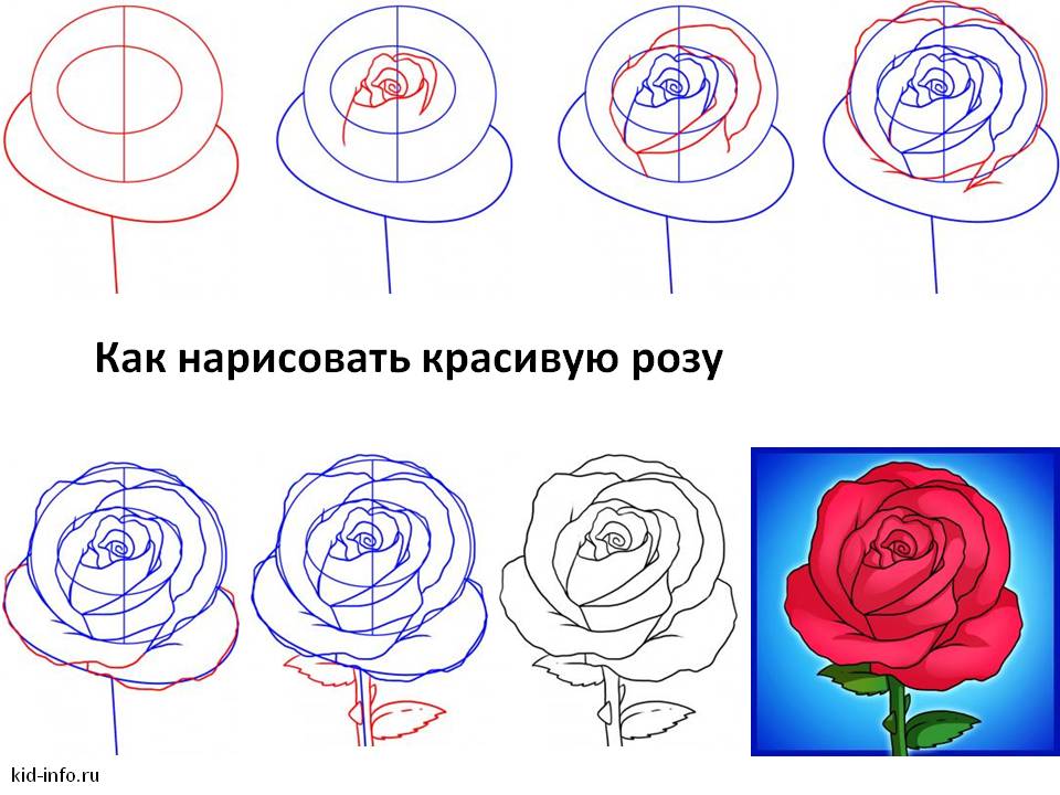 Как нарисовать розу легко и красиво. Роза рисунок пошагово. Нарисовать розу поэтапно. Красивая роза поэтапно. Роза карандашом пошагово.