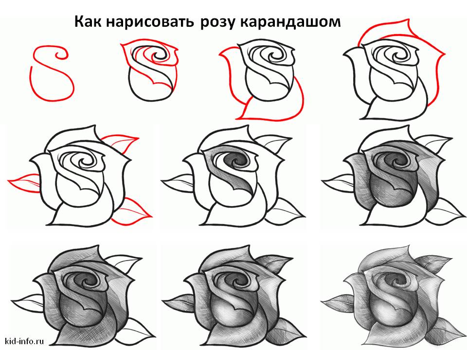 Идеи для срисовки роза ветров (90 фото)