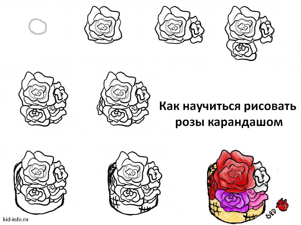 Как нарисовать 1 розу