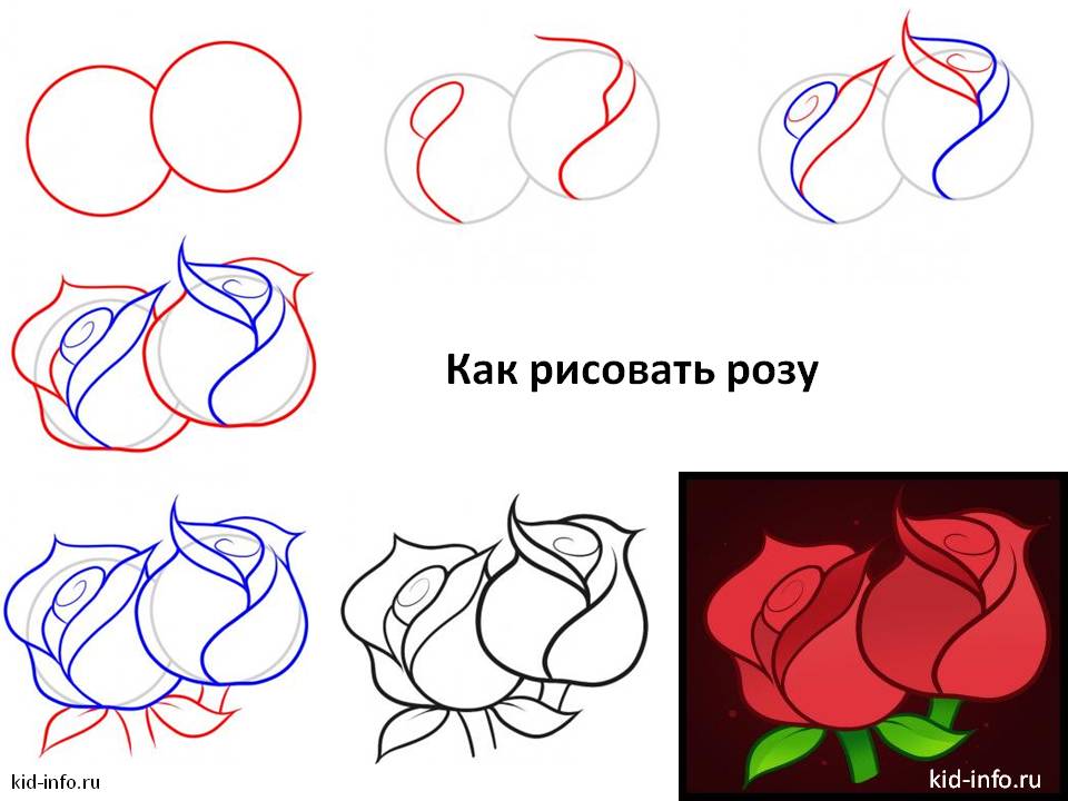 Как нарисовать сердце Роза, Роза сердца