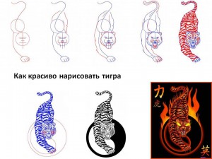 Как красиво нарисовать тигра