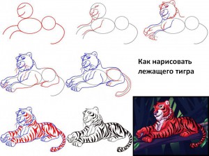 Как нарисовать лежащего тигра