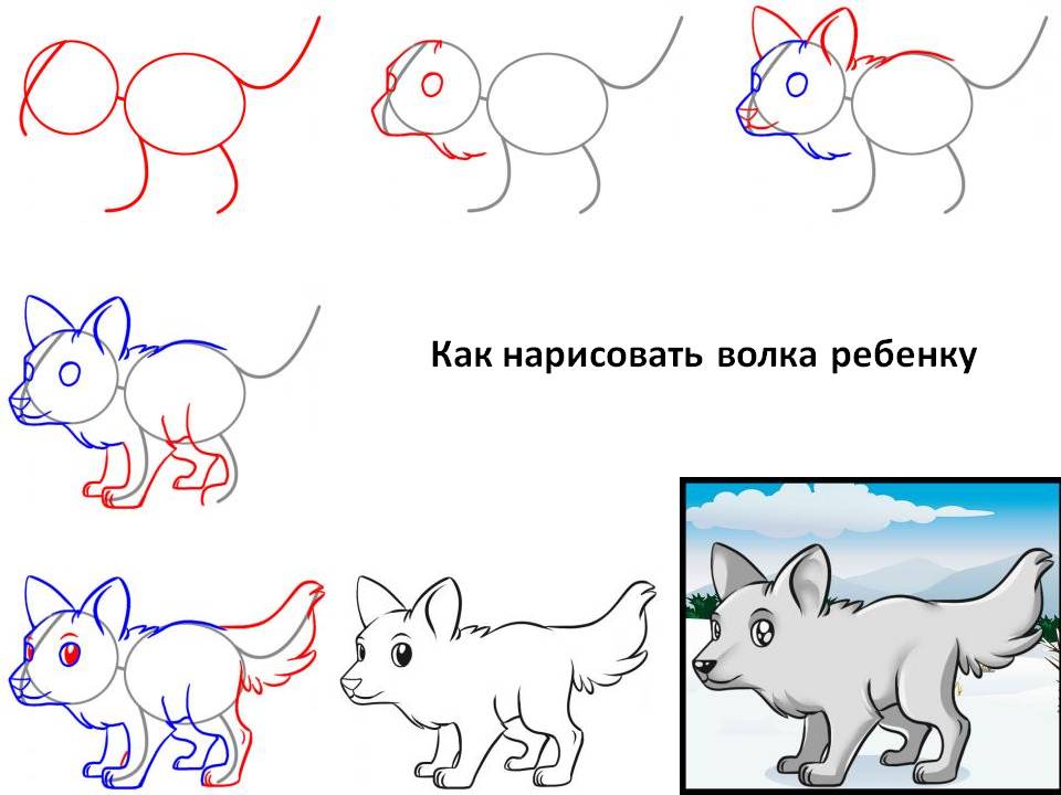 Как нарисовать волка ребёнку