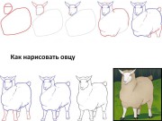 Как нарисовать овечку, барана и ягнёнка