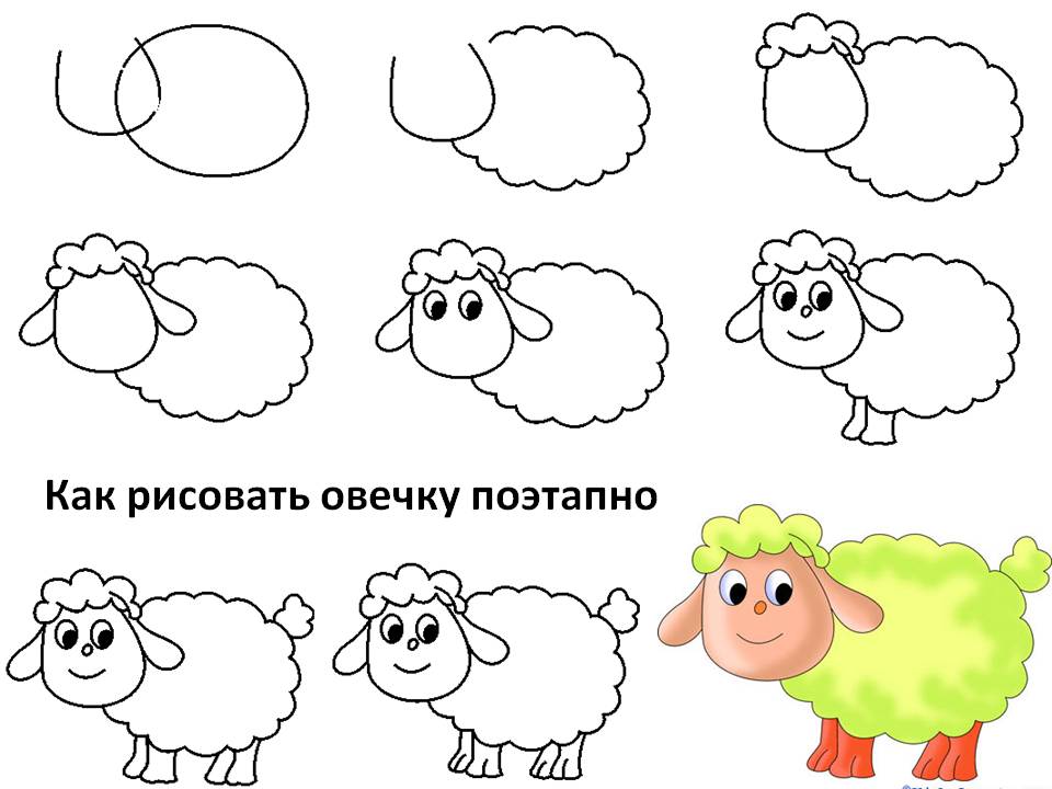 Как рисовать овечку поэтапно