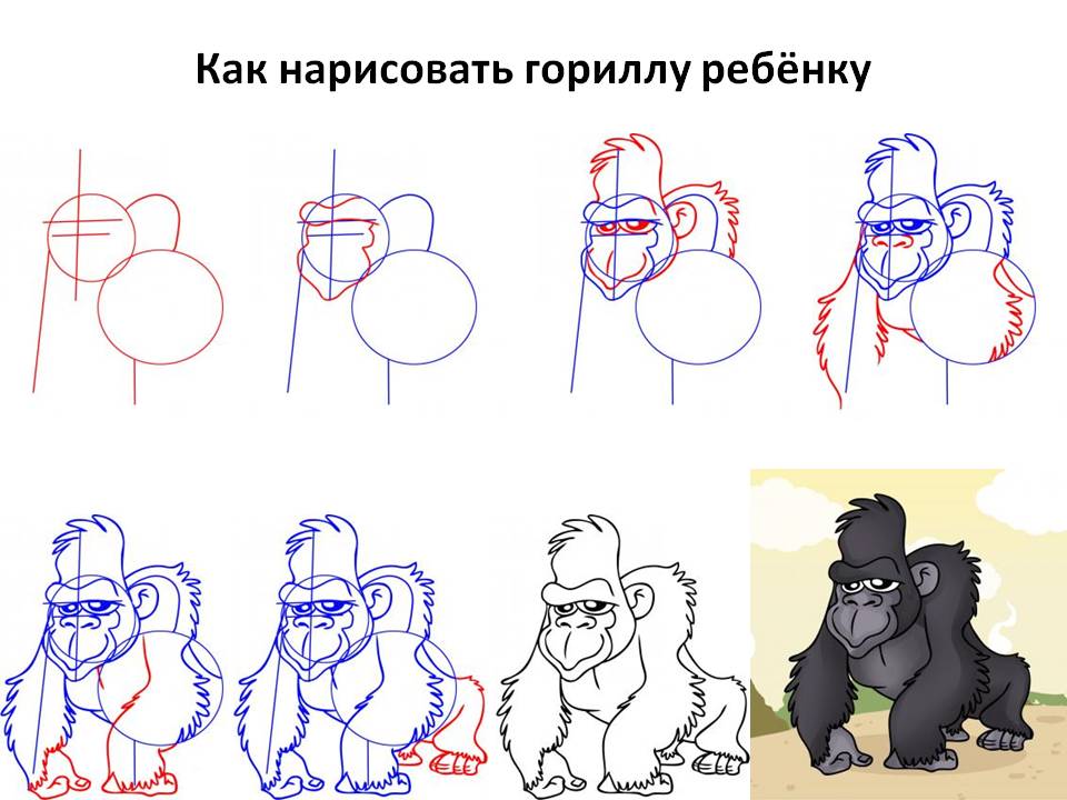 Как нарисовать гориллу ребёнку