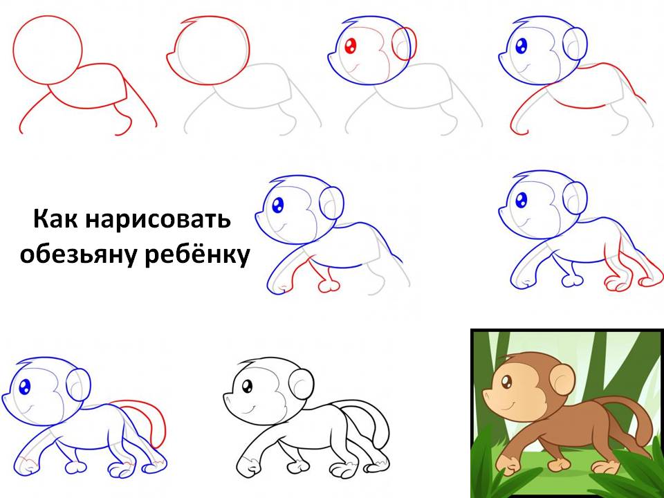 Как нарисовать обезьяну ребёнку