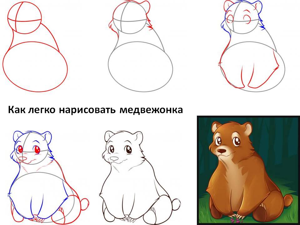 Как легко нарисовать медвежонка