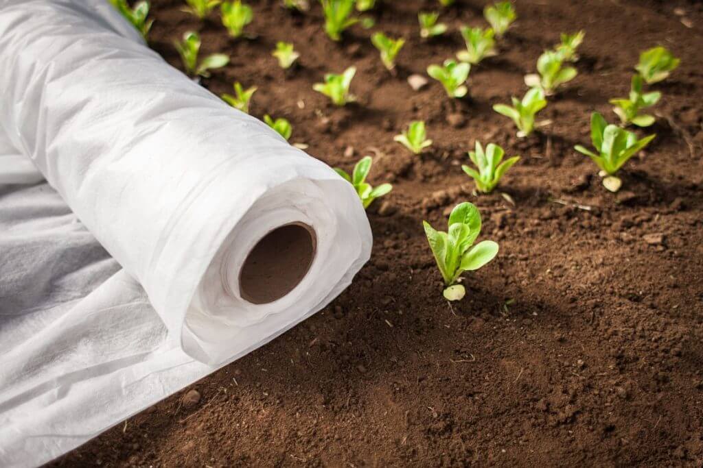 Применение белого спанбонда в сельском хозяйстве: важность и преимущества