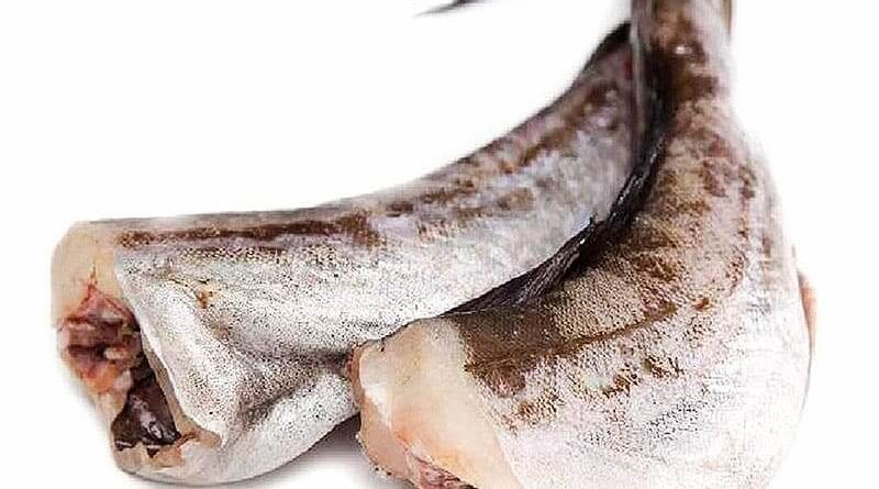 Преимущества свежей трески и где ее заказать в Питере